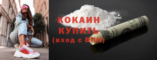 крисы Инсар
