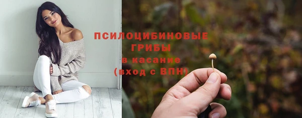 крисы Инсар