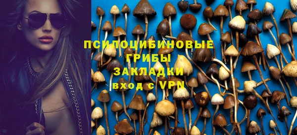 бутират Инта